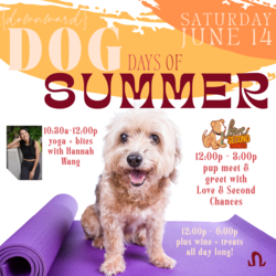 [downward] Dog Days of Summer