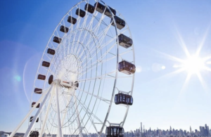 Father’s Day: Dad’s Ride Free at Dream Wheel