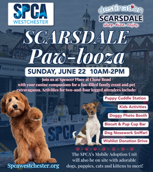 Scarsdale Paw-looza