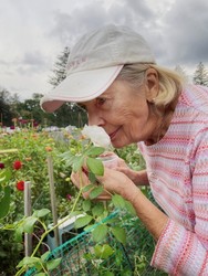 Darien’s Cherry Lawn Community Gardens’ 50th Anniversary Celebration