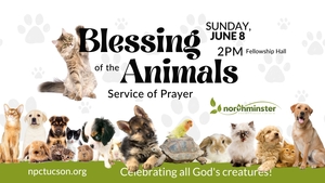 Blessing of the Animals
