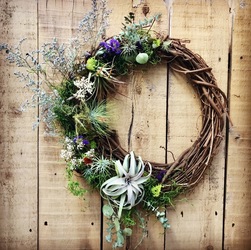 Patchwork Presents Air Plant Wreaths Craft Workshop