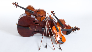 Special Music Event: String Theory String Quartet