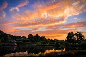 Gentle Yoga & Nature Therapy: A Summer Solstice Sunset Journey