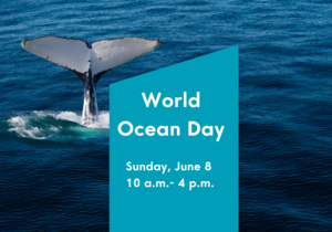 World Ocean Day