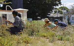 Saturdays in the Soil