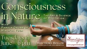 Consciousness in Nature:  The Art & Science of Meditation
