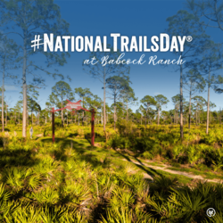 Babcock Ranch Nature Walk & Talk