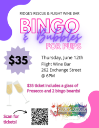 Bingo and Bubbles For Pups with Ridge’s Rescue