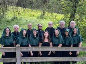 The Vocal Art Ensemble presents Ir-'ish' - an exploration of Celtic sounds, June 6-8 in Davis