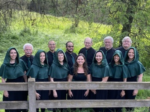 The Vocal Art Ensemble presents Ir-'ish' - an exploration of Celtic sounds, June 6-8 in Davis