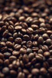 Savor the Cafely Roast