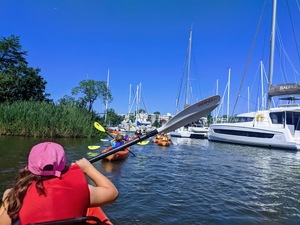 Concert Cruise: Paddle to Tides & Tunes