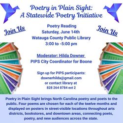 Poetry in Plain Sight
