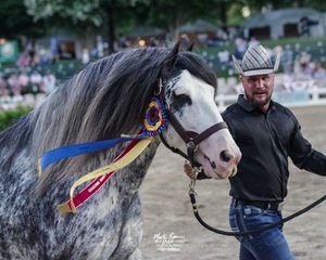 76th Germantown Charity Horse Show.   Tuesday, June 3 - Saturday, June 7.