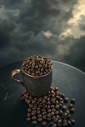 One Brew Wonder with Cafely