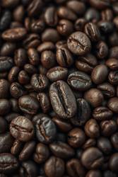 Freshly Brewed Moments by Cafely