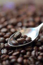 Sip Together – Cafely on National Coffee Day