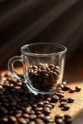 Visual-First Assets Hub Now Live at Cafely