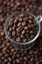 Cafely Delivers Layered Insight Roast Platform