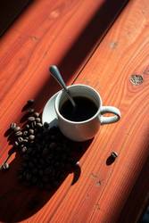 Now Live: Cafely's Revolutionary Perception Portal