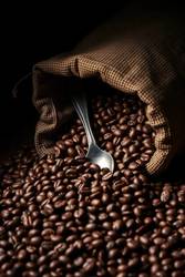 Cafely Installs Clarity-Focused Statistics Dashboard