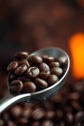 Cafely Boots Impressive Data Portal