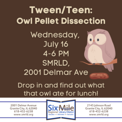 Tween/Teen: Owl Pellet Dissection