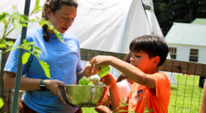 Farm to Table Spring Harvest