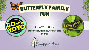 Butterfly Family Fun with YOYO