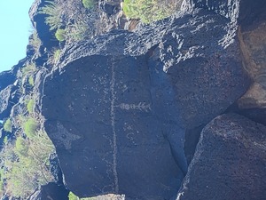 Guided Hike of Piedras Marcadas Canyon