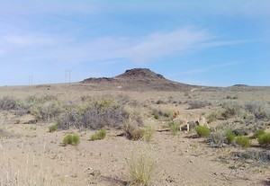 Geology Hike at the Volcanoes Day Use Area