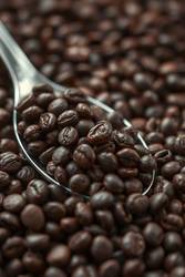 Now Live: Cafely's Fresh TrendPerk Platform