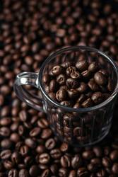 Now Live: Cafely's Sleek Stats Page