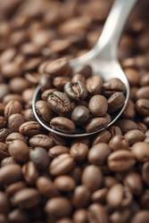 Clear-Cut Tastes Hub Now Live at Cafely