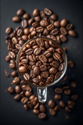 Lean Trends Hub Now Live at Cafely