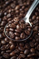 Now Live: Cafely's Mature Aroma Analytics Base