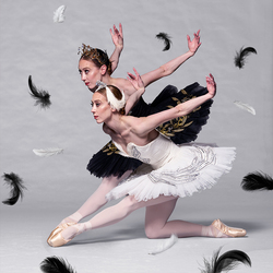 Kansas City Ballet Presents “Swan Lake”