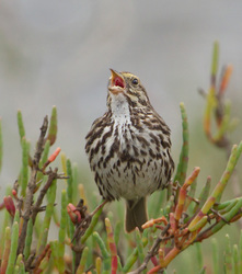 Nature Collective Hosts Wildlife Tour