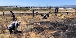 Bair Island Volunteer Workday