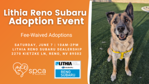 Lithia Reno Subaru's FEE-WAIVED Adoption Event