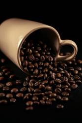 Now Live: Cafely's Game-Changing Caffeine Trends Portal