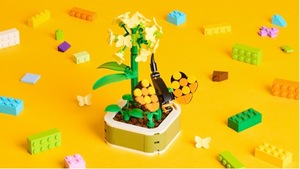 FREE LEGO Creativity Workshop: Botanicals!