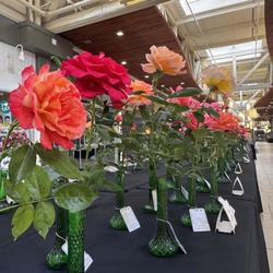 THE MARKETPLACE AT FACTORIA INVITES THE COMMUNITY TO THE 112TH ANNUAL SEATTLE ROSE SHOW