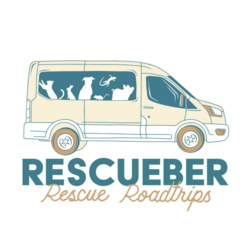 Rescueber Bingo Night @ Bobby's Eastside