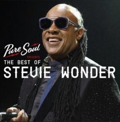 PureSoul Presents: The Best Of Stevie Wonder @ Robert’s Westside