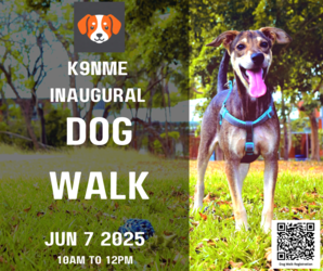 K9nMe Inaugural Pawtner Walk