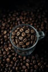 Now Live: Cafely's Real-Time Insight Roast Platform