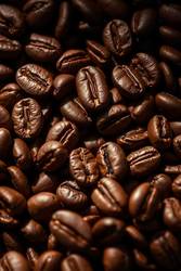 Cafely’s Brew Buzz for National Coffee Day