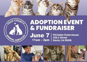 Smitten For Kittens: Adoption and Fundraising Event